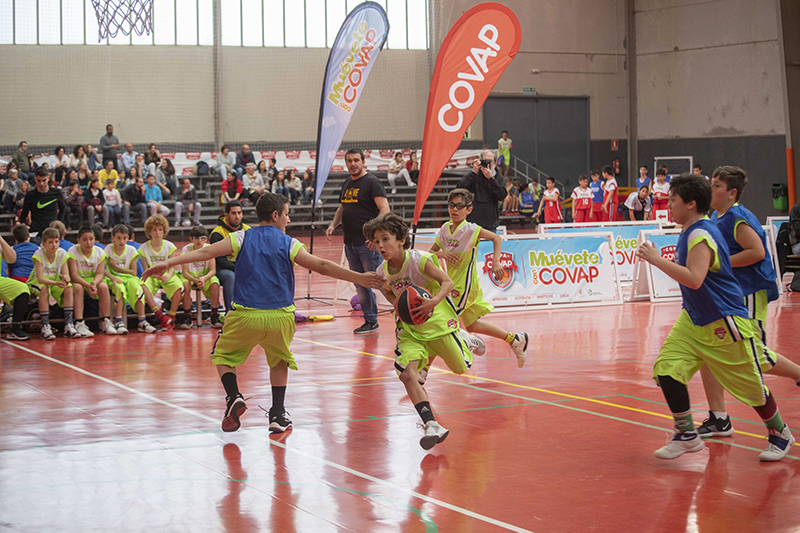 Copa COVAP deporte baloncesto