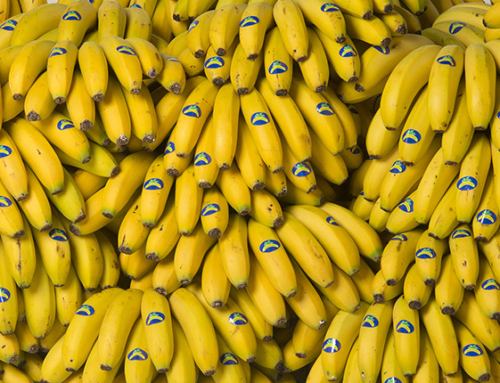 Plátano de Canarias se une a la 11ª Copa COVAP como colaboradores en el impulso de los hábitos de vida saludables